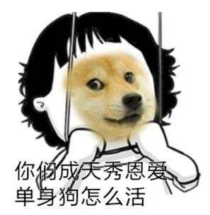 撒狗粮是什么意思